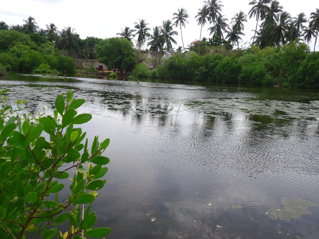 Rock Pool Residence Tangalle Exterior photo